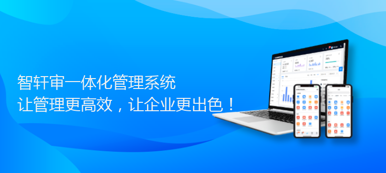 审一体化管理系统